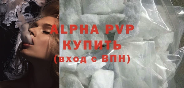 крисы Вязьма