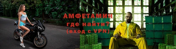 крисы Вязьма