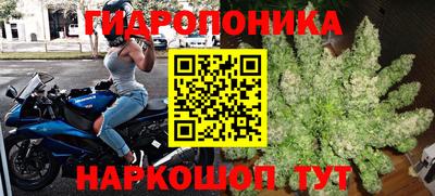 бошки Жуковский